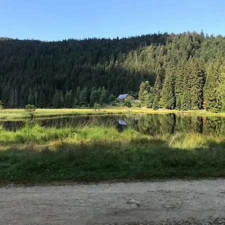 Hutter *